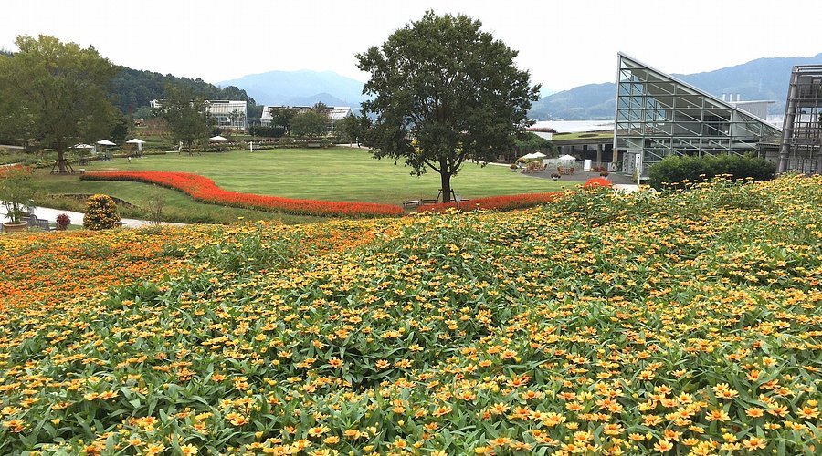 🌸 야마구치 플라워 랜드 이미지 7